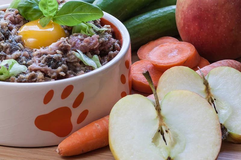 Ernährungs- Informationen und Beratung nach Ayurveda