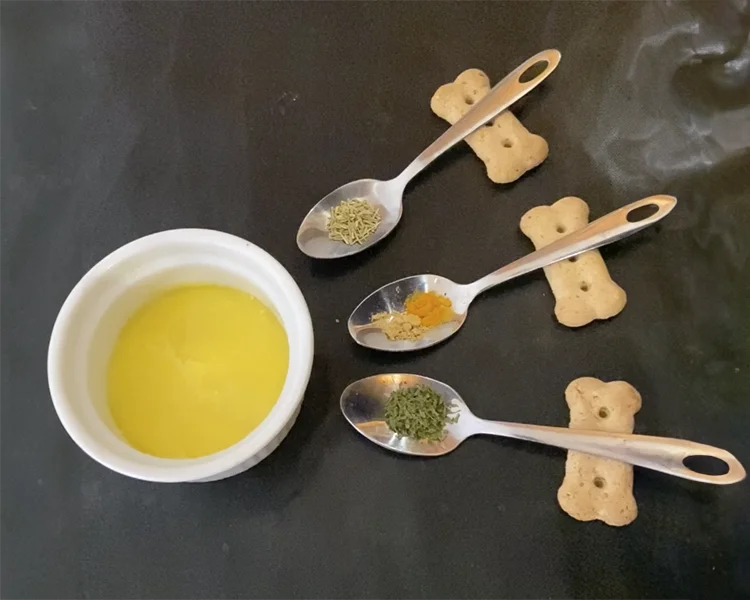 Ayurvedische Katzen-Ernährung Ernährungstipps für Probleme mit Durchfall oder Verstopfung
